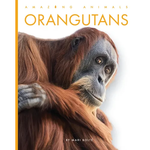 Orangutans - Library Binding