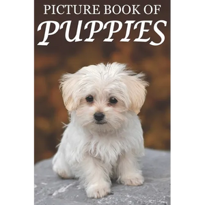 Picture Book of Puppies: Picture Book of Puppies: For Seniors with Dementia [Cute Picture Books] - Paperback