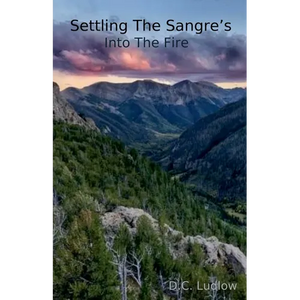 Into The Fire - Paperback