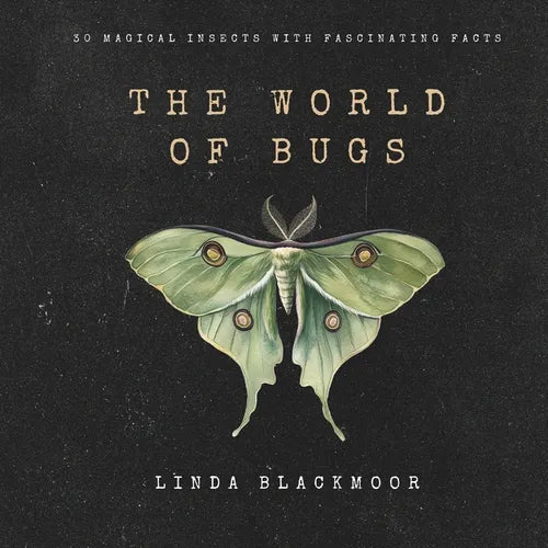 The World of Bugs - Paperback