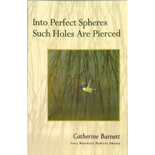 Into Perfect Spheres Such Holes Are Pierced - Paperback