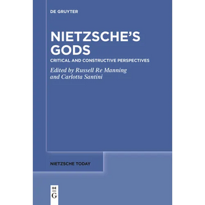 Nietzsche's Gods: Critical and Constructive Perspectives - Paperback