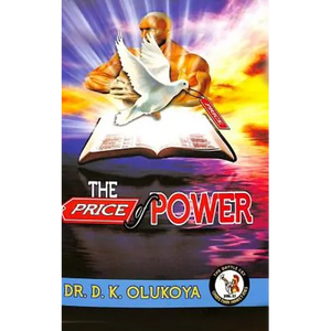 The Price of Power - Paperback