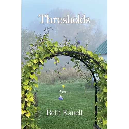 Thresholds - Paperback