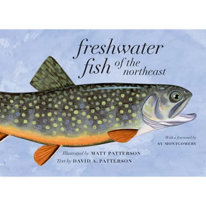 Freshwater Fish of the Northeast - Paperback