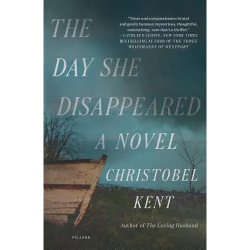 Day She Disappeared - Paperback