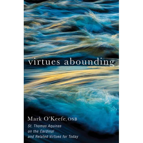 Virtues Abounding - Paperback