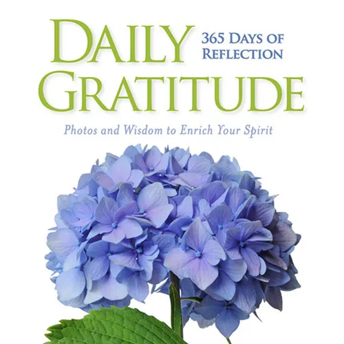 Daily Gratitude: 365 Days of Reflection - Hardcover