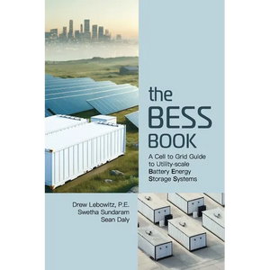 The BESS Book - Paperback