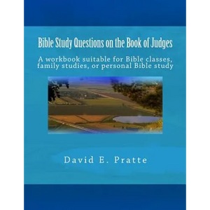 Bible Study Questions on the Book of Judges: A workbook suitable for Bible classes, family studies, or personal Bible study - Paperback