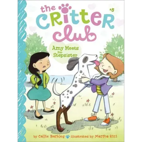 Amy Meets Her Stepsister - Hardcover