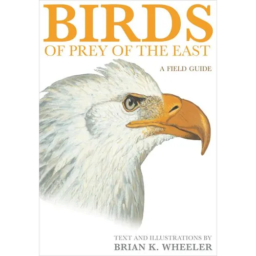 Birds of Prey of the East: A Field Guide - Paperback