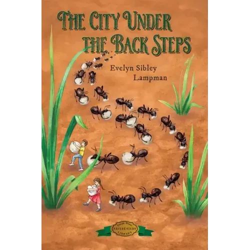The City Under the Back Steps - Paperback