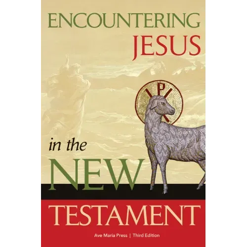 Encountering Jesus in the New Testament - Paperback