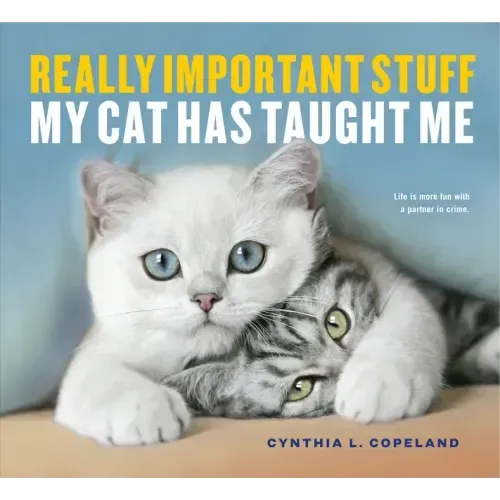 Really Important Stuff My Cat Has Taught Me - Paperback
