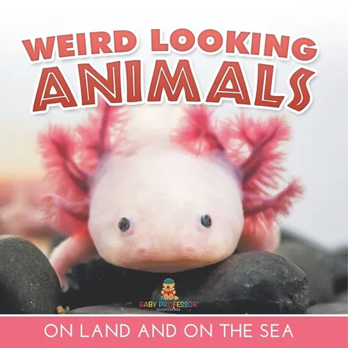 Weird Looking Animals On Land and On The Sea - Paperback