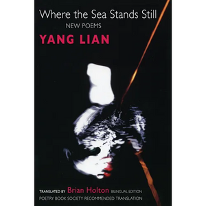 Where the Sea Stands Still - Paperback
