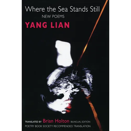 Where the Sea Stands Still - Paperback