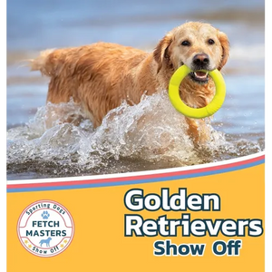 Golden Retrievers Show Off - Hardcover