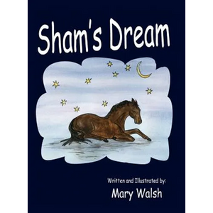 Sham's Dream - Hardcover