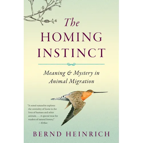 The Homing Instinct: Meaning and Mystery in Animal Migration - Paperback