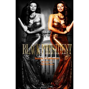 Black President Season 3 Collection: The Conclusion - Paperback