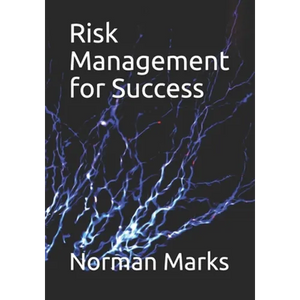 Risk Management for Success - Paperback