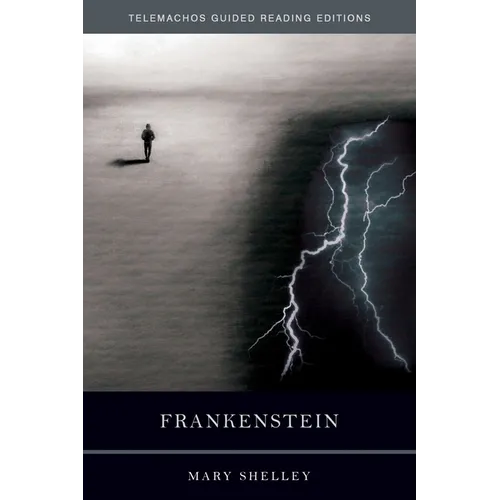 Frankenstein - Paperback