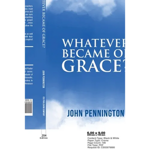 Whatever Became of Grace?: Stories of Hope for Preaching and Teaching in a Graceless World - Paperback