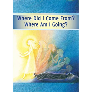 Where did I Come From? Where Am I Going?: Life After Death, the Journey of Your Soul - Paperback
