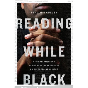 Reading While Black: African American Biblical Interpretation as an Exercise in Hope - Paperback