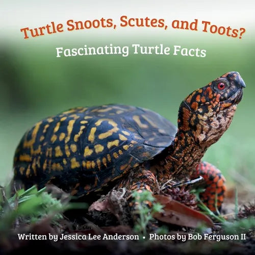 Turtle Snoots, Scutes, and Toots? Fascinating Turtle Facts - Paperback