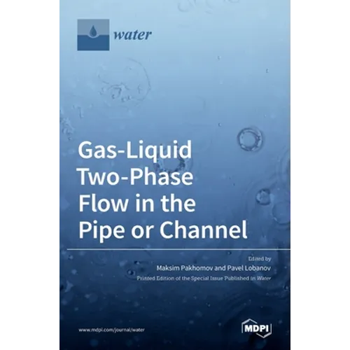 Gas-Liquid Two-Phase Flow in the Pipe or Channel - Hardcover