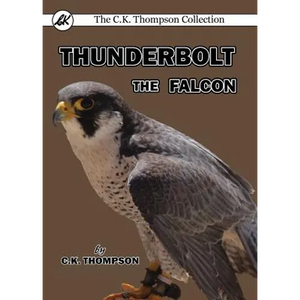 Thunderbolt the Falcon - Paperback