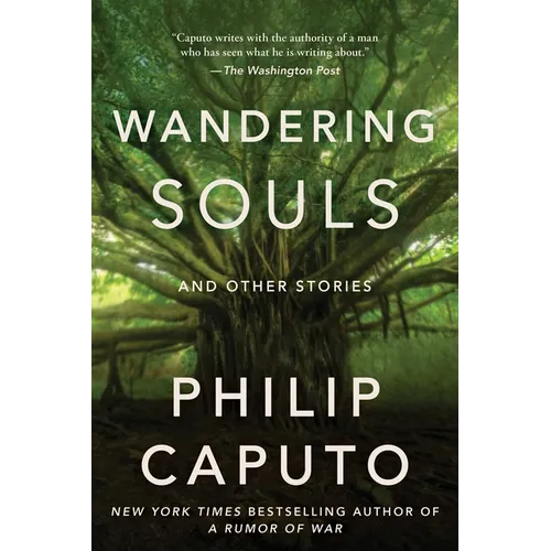 Wandering Souls: And Other Stories - Hardcover