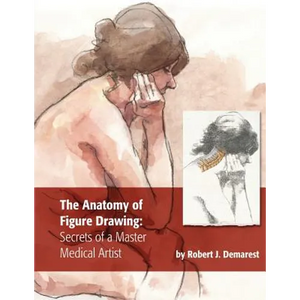 The Anatomy of Figure Drawing: Secrets of a Master Medical Artist - Paperback