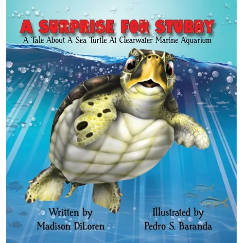 A Surprise for Stubby - Hardcover