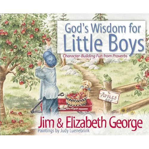 God's Wisdom for Little Boys: Character-Building Fun from Proverbs - Hardcover