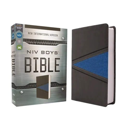 Niv, Boys Bible, Leathersoft, Gray/Blue, Comfort Print - Imitation Leather