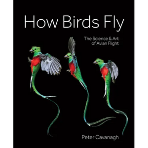 How Birds Fly: The Science and Art of Avian Flight - Hardcover