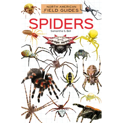 Spiders - Library Binding