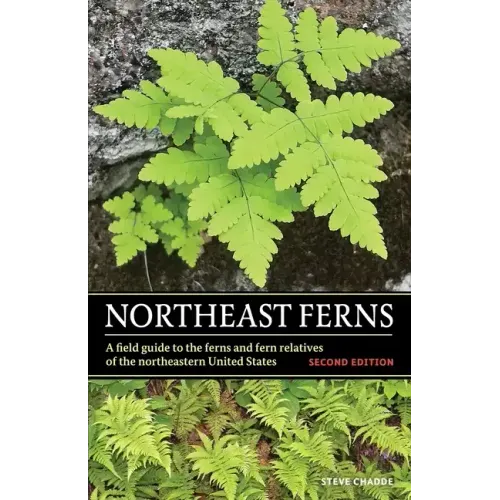 Northeast Ferns: A Field Guide to the Ferns and Fern Relatives of the Northeastern United States - Paperback