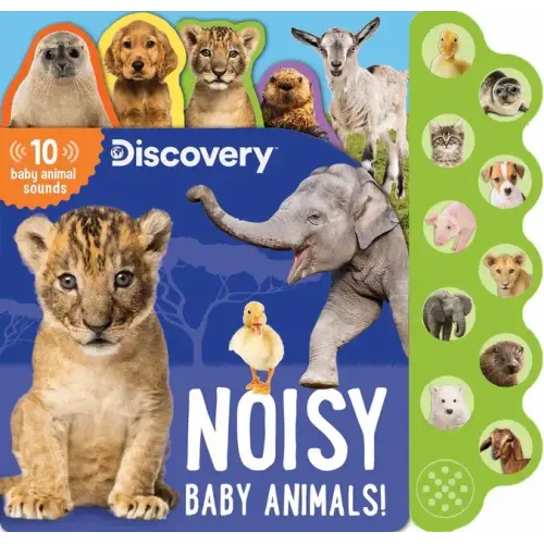 Discovery: Noisy Baby Animals! - Board Book