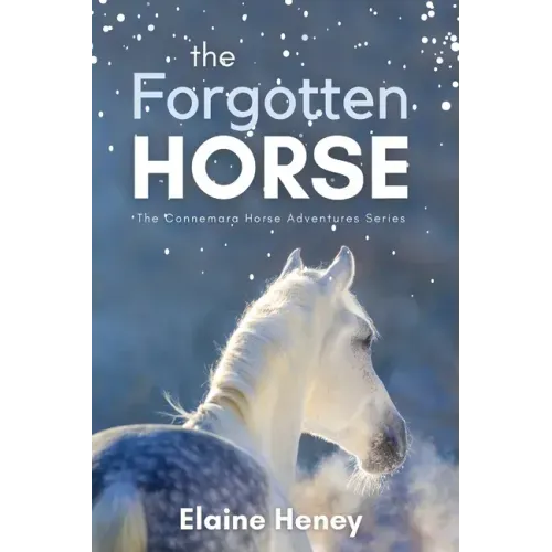 The Forgotten Horse - Book 1 in the Connemara Horse Adventure Series for Kids. The perfect gift for children age 8-12. - Paperback