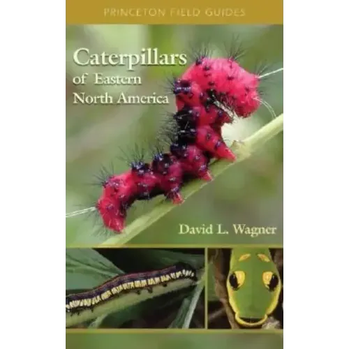 Caterpillars of Eastern North America: A Guide to Identification and Natural History - Paperback
