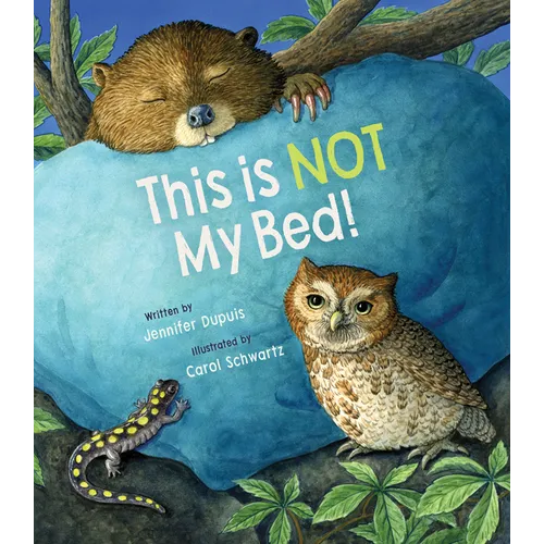 This Is Not My Bed! - Hardcover