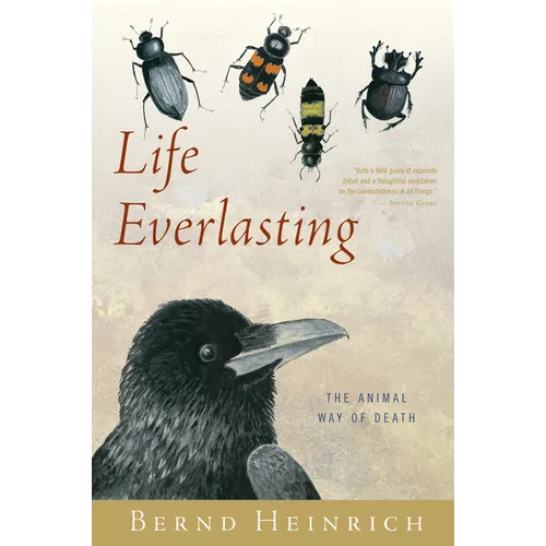 Life Everlasting: The Animal Way of Death - Paperback
