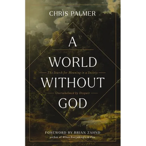 A World Without God: The Search for Meaning in a Society Overwhelmed by Despair - Paperback