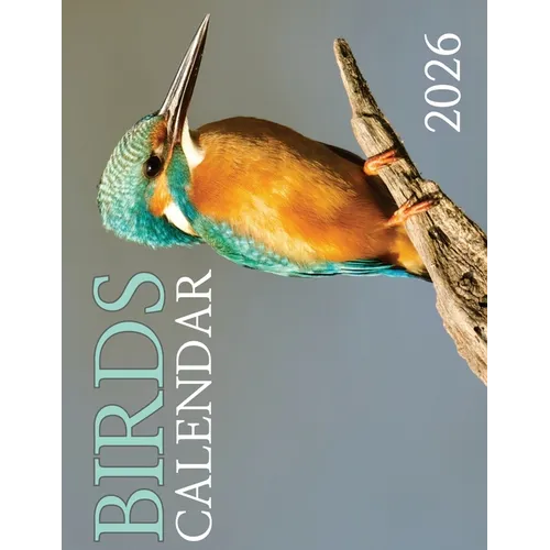 Birds Calendar 2026 - Paperback