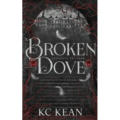 Broken Dove - Paperback